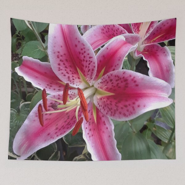 Item preview, Floral - Stargazer Lily designed and sold by MulesParty.