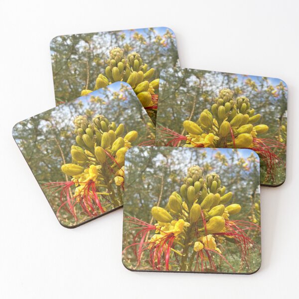 Item preview, Mexican Bird of Paradise designed and sold by Lynda Anne Williams.