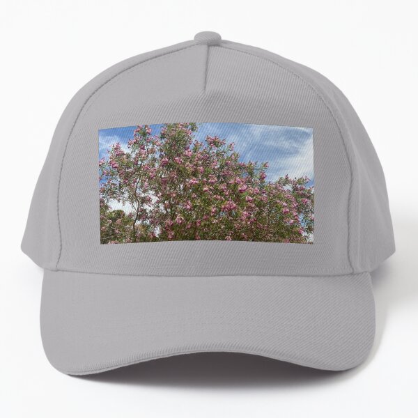 Desert Willow In Bloom Baseball Cap