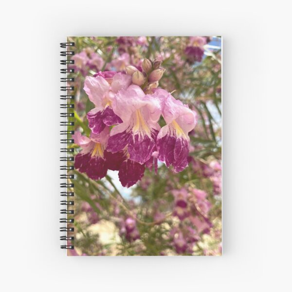 Desert Willow Blooms Up Close Spiral Notebook
