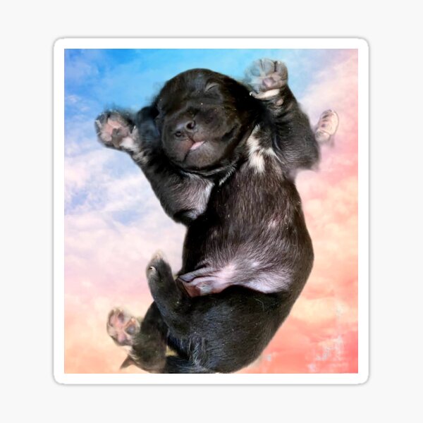 Puppy Dreams Sticker