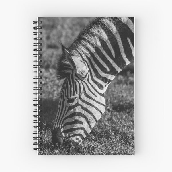 Artikelvorschau, Zebradesign entworfen und verkauft von Rdesigner1.