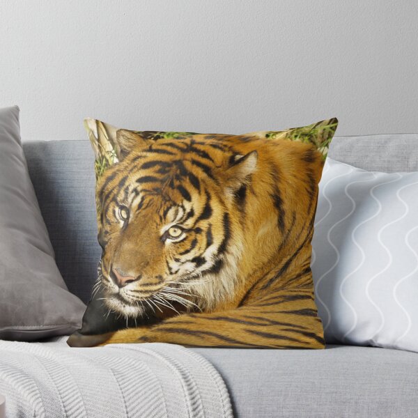 Item preview, Eye Contact designed and sold by Steve Hunter.