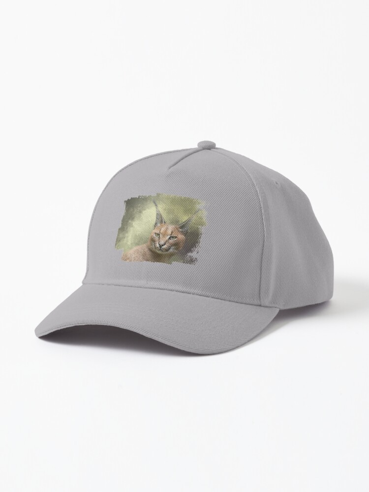 Caracal lynx for sale cheap