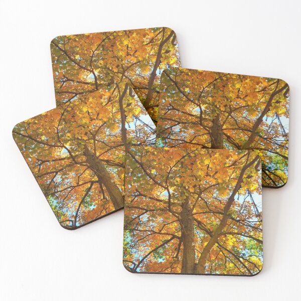 Item preview, Fall trees, wonderful breeze designed and sold by BlackWidow22.