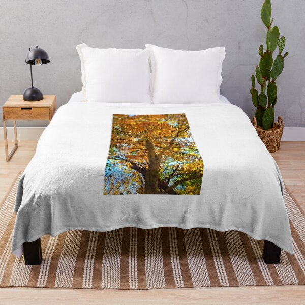Item preview, Fall trees, wonderful breeze designed and sold by BlackWidow22.