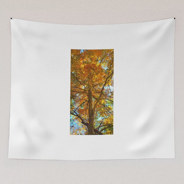 Item preview, Fall trees, wonderful breeze designed and sold by BlackWidow22.