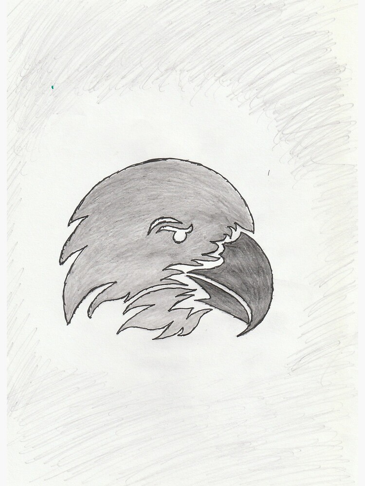 How to Draw Worksheets for The Young Artist: How to Draw an Eagle Face  Lesson and Worksheet