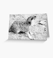 Monochrome Suricate Greeting Card