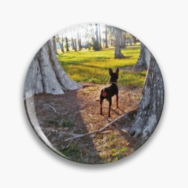 Aperçu de l'œuvre Grands arbres, petit chien créée et vendue par Missredlocks.