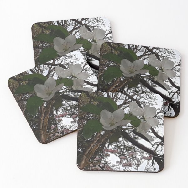 Item preview, Floral - Apple Blossoms in Spring designed and sold by MulesParty.