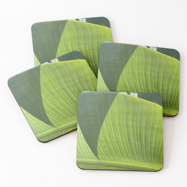 Item preview, Sunlight through Palm Leaf designed and sold by Sinemathk.