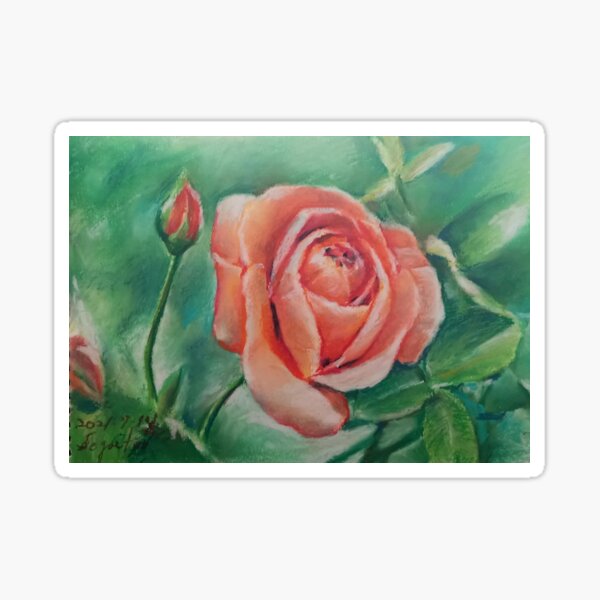 orange rose Sticker