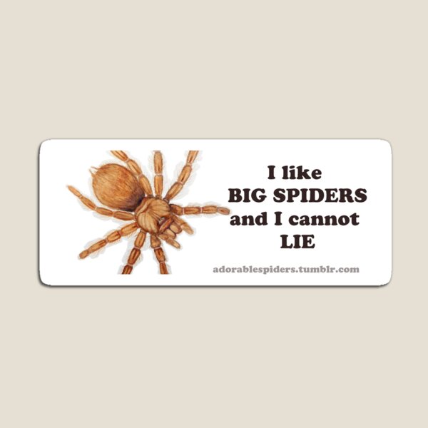 I like BIG SPIDERS Magnet