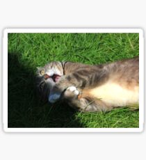 Excited cat Sticker