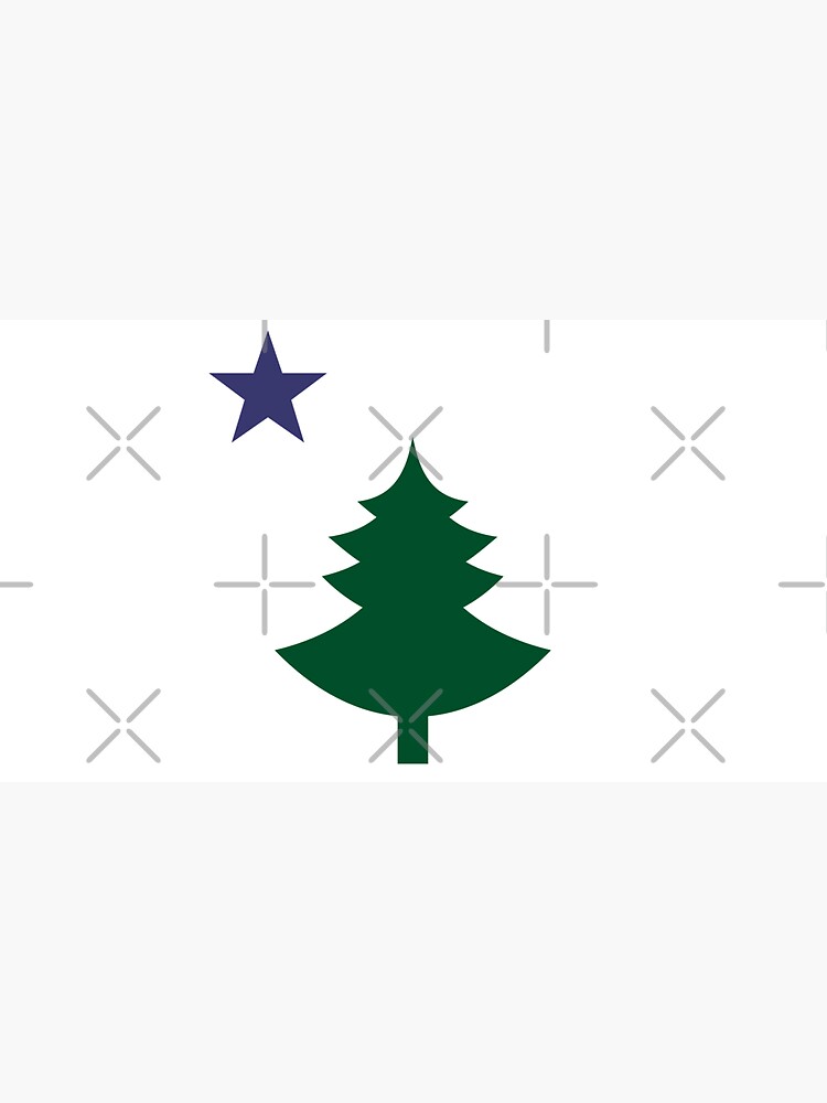 Old Maine State Flag Hat Original Flag Pine Tree Star Dad Hat by dgavisuals