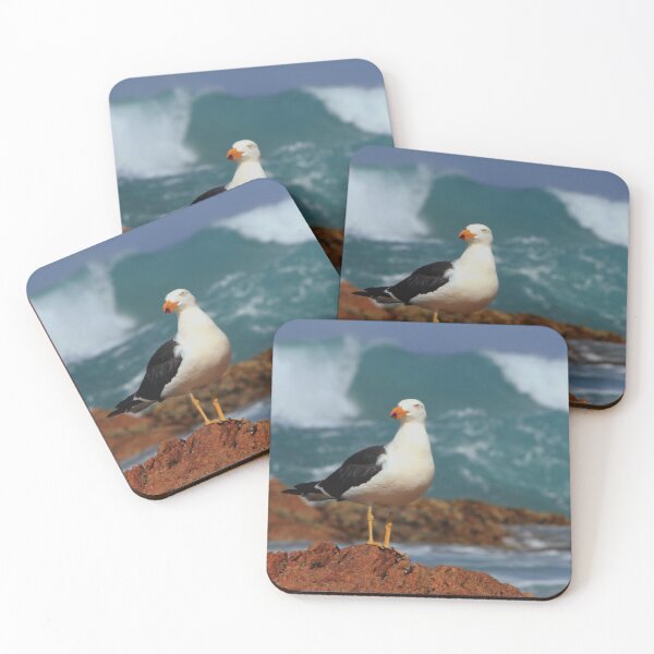 Item preview, Pacific gull on rock designed and sold by SarahDownunder.