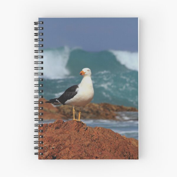 Item preview, Pacific gull on rock designed and sold by SarahDownunder.