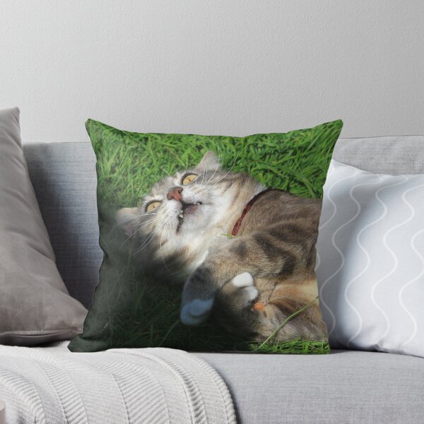 Item preview, Excited cat designed and sold by turniptowers.