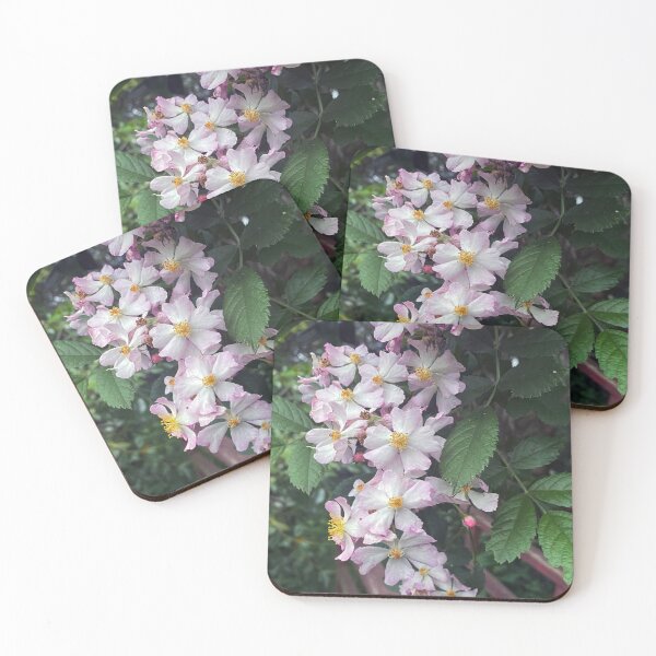 Item preview, Climbing Roses designed and sold by Amber Hague.