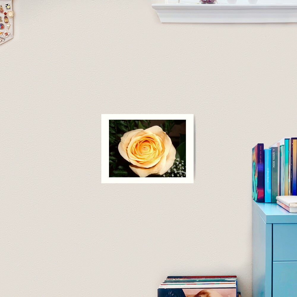 Only a Rose, Vancouver, BC Art Print