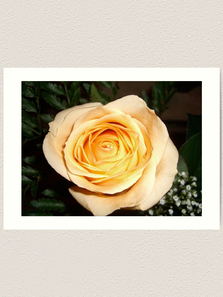 Alternate view of Only a Rose, Vancouver, BC Art Print