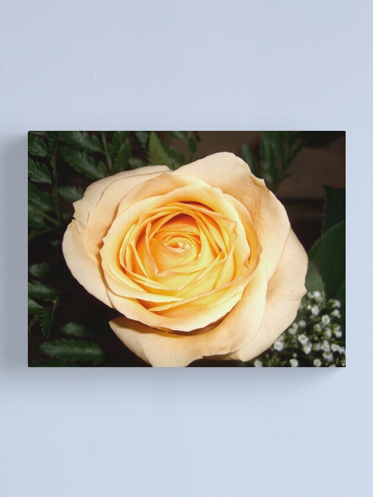 Alternate view of Only a Rose, Vancouver, BC Canvas Print