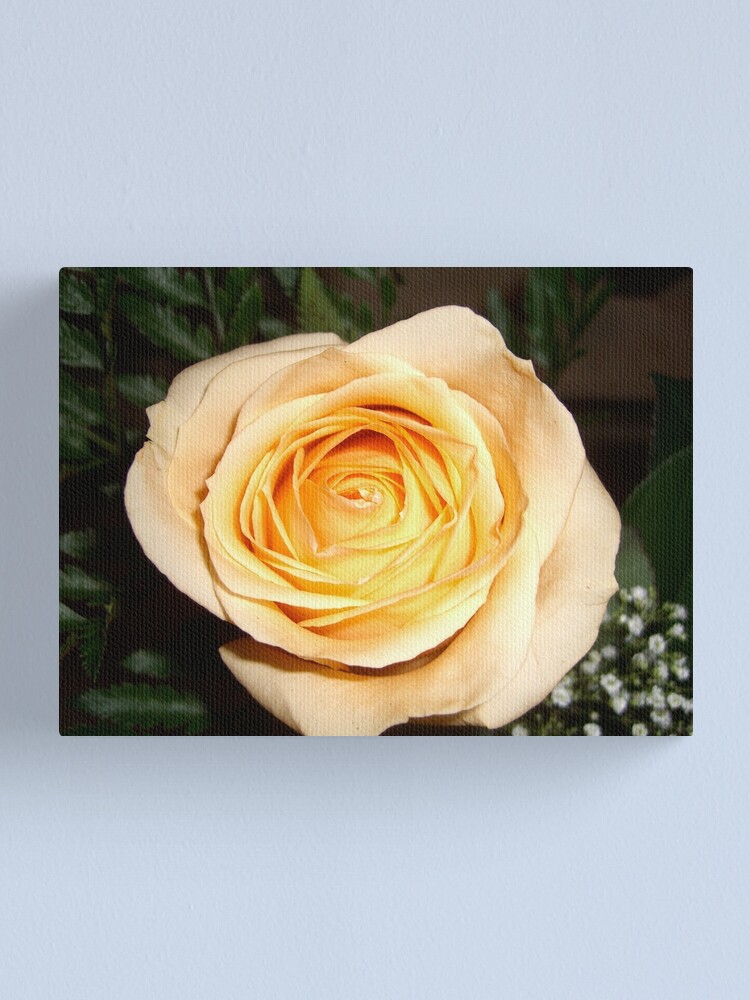 Alternate view of Only a Rose, Vancouver, BC Canvas Print