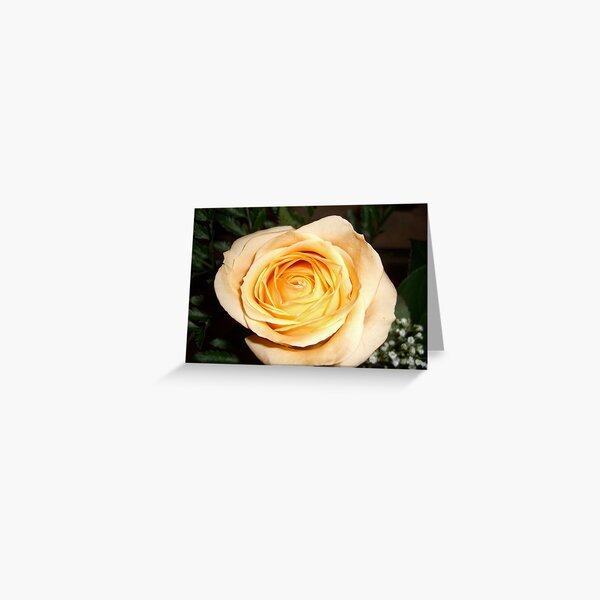 Only a Rose, Vancouver, BC Greeting Card
