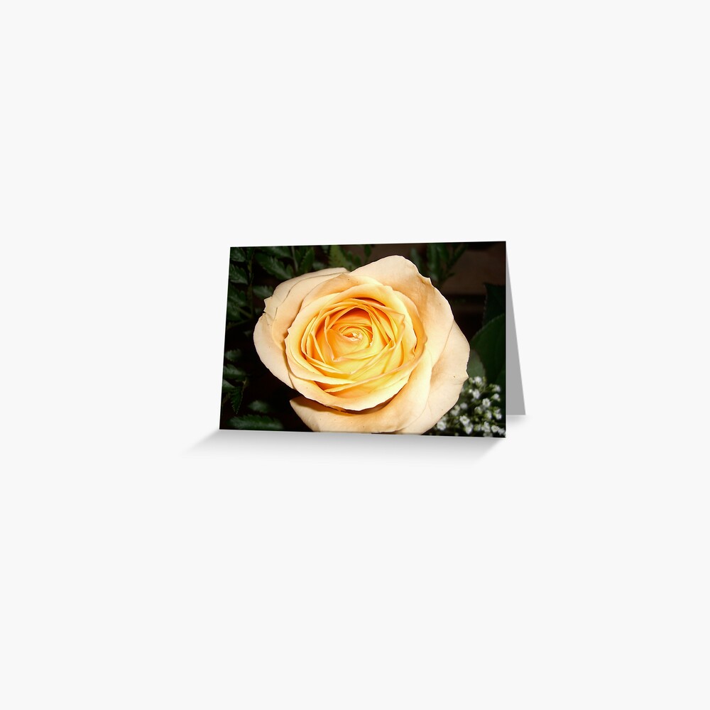 Only a Rose, Vancouver, BC Greeting Card