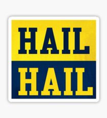 hail umich Sticker