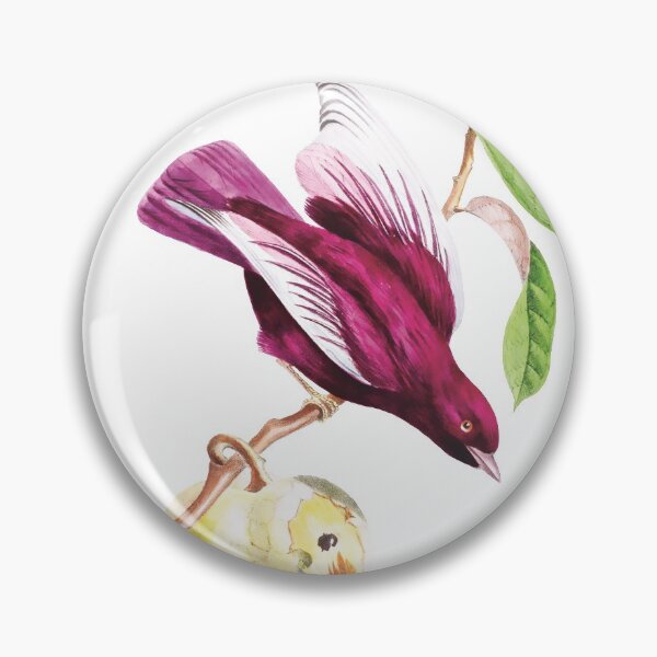 Item preview, Pompadour Cotinga - Exotic Birds designed and sold by AlexSin.
