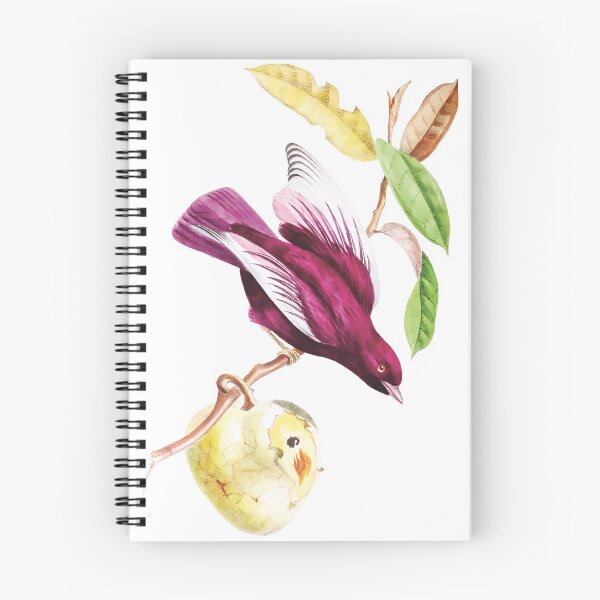 Item preview, Pompadour Cotinga - Exotic Birds designed and sold by AlexSin.