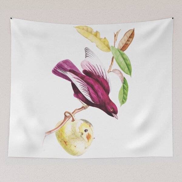 Item preview, Pompadour Cotinga - Exotic Birds designed and sold by AlexSin.