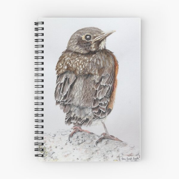 Artikelvorschau, Baby Robin - Ein letzter Blick auf die Jugend entworfen und verkauft von drawmama.