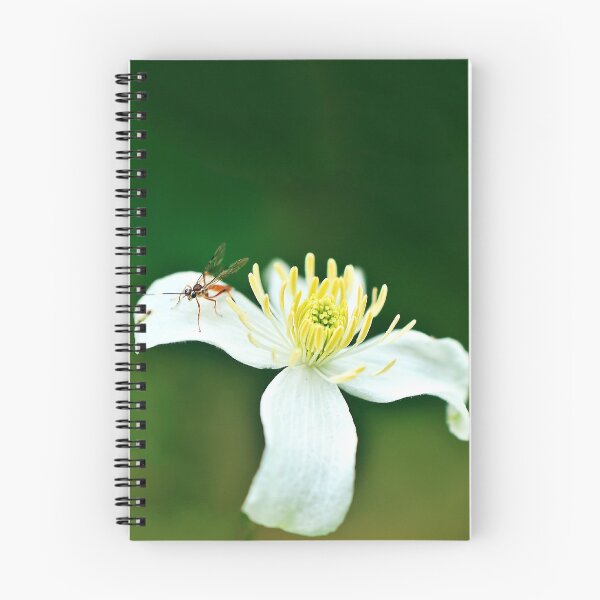 Item preview, Insect on a flower designed and sold by Amber Hague.