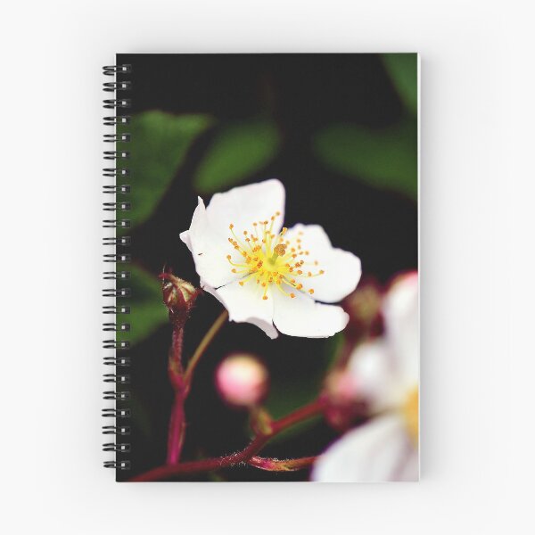 Item preview, Small Flowers designed and sold by Amber Hague.