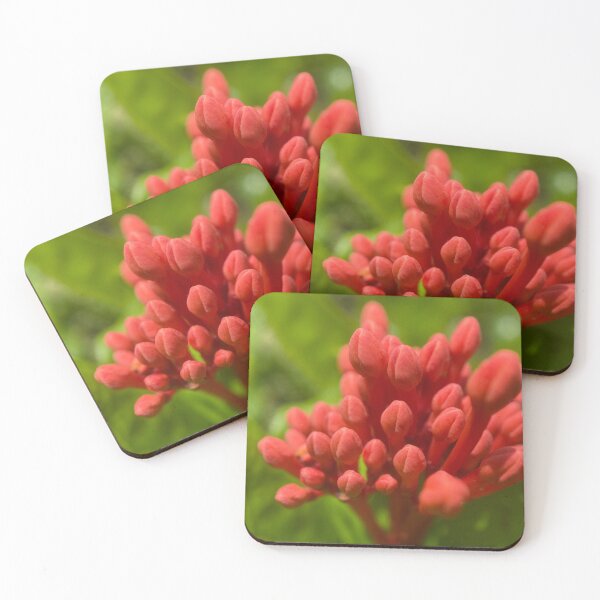 Item preview, Jungle Geranium Flower Buds designed and sold by Sinemathk.
