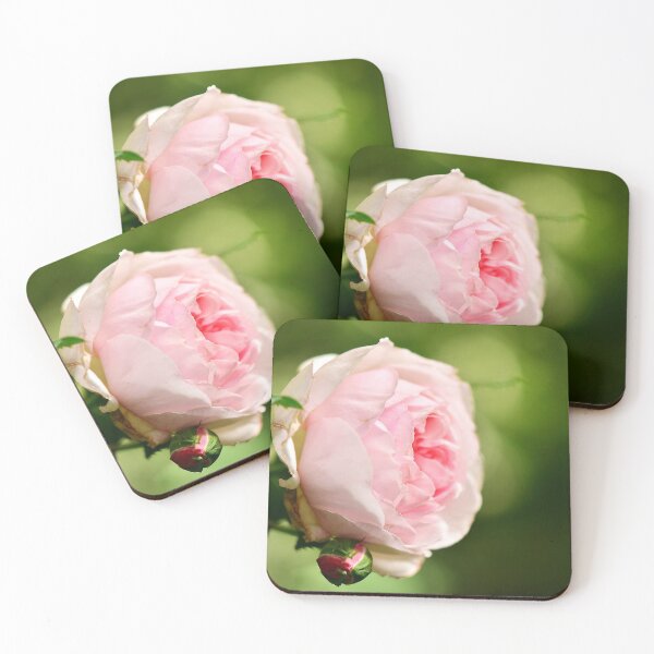 Item preview, Romantic Rose designed and sold by Amber Hague.