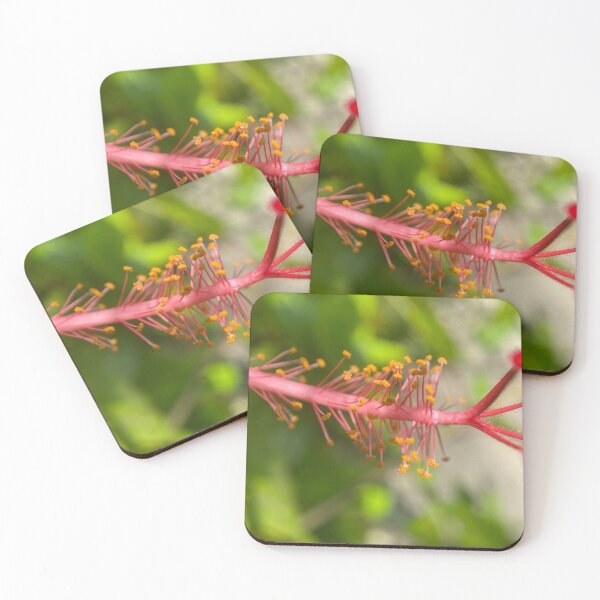Item preview, China Rose Flower Pollen designed and sold by Sinemathk.