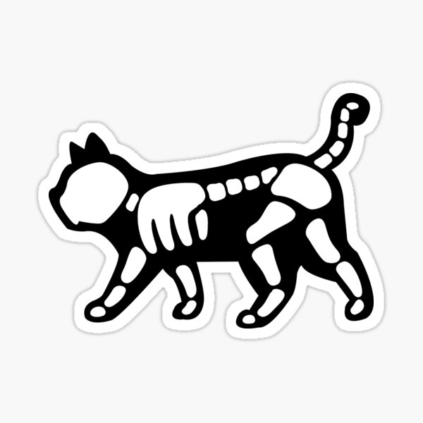 X Ray Cat Sticker For Sale By Alanghoka Redbubble