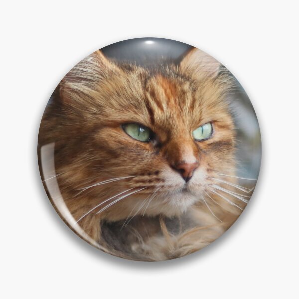 Item preview, Fluffy cat designed and sold by GreyFeatherPhot.