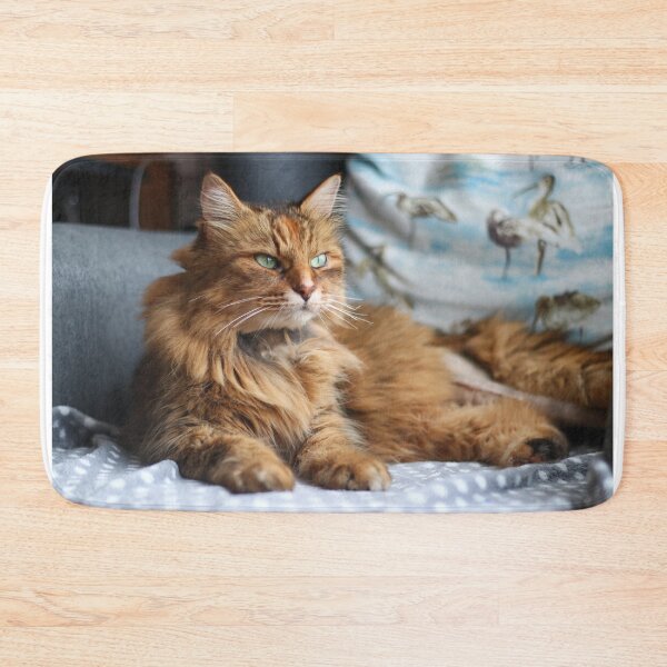 Item preview, Fluffy cat designed and sold by GreyFeatherPhot.