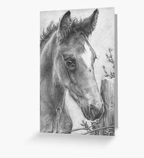 Inquisitive Greeting Card