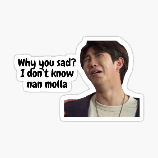 RM meme sticker - 'I don't know nan molla' sticker Sticker