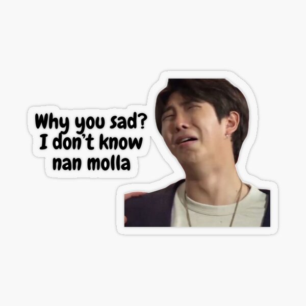 RM meme sticker - 'I don't know nan molla' sticker Transparent Sticker