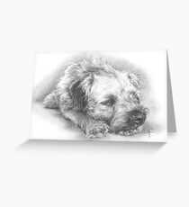 Snooze Time Greeting Card