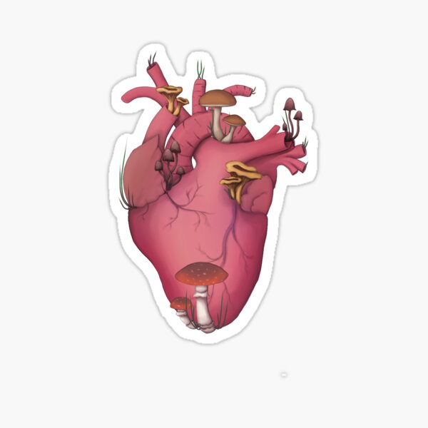 Sticker Echtes Herz Redbubble