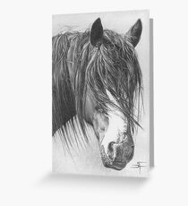 Fringe Benefits Greeting Card