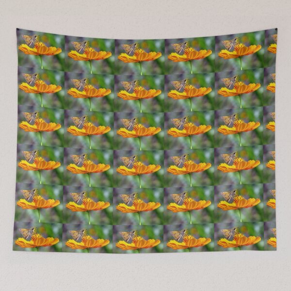 Item preview, The Butterfly and The Spider designed and sold by Jean Gregory Evans.